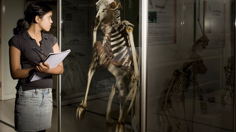 Researchers say their goat-human evolution theory, on second thought, does feel a little off.